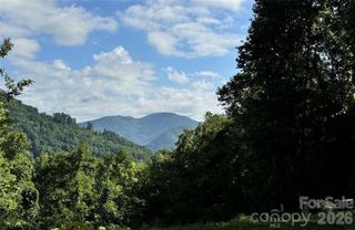 350 Scotts Trail, Madison, NC 28743