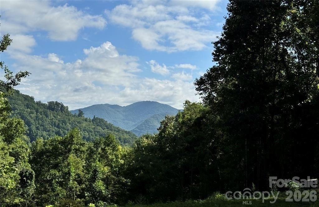 350 Scotts Trail, Madison, NC 28743