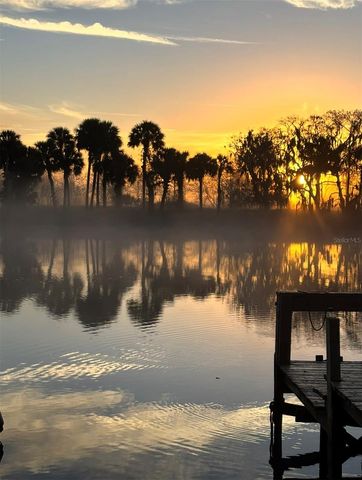 1129 LEMON BLUFF ROAD, Osteen, FL 32764