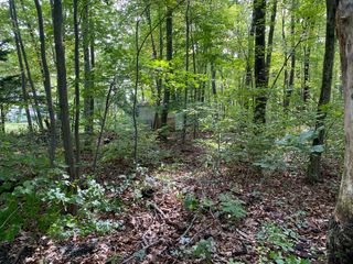 53 Fourth Street, Dracut, MA 01826