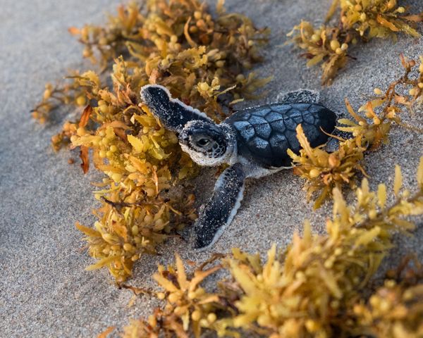 3028 Windward Way, Jupiter, FL 33477