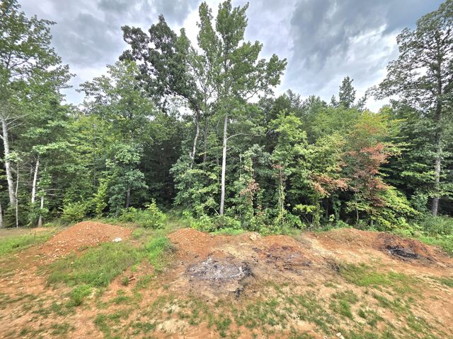 273 Wayne Hall Rd, Clarksville, TN 37040
