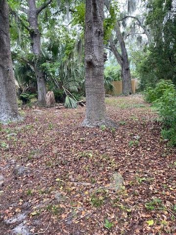 6442 TREEHAVEN DRIVE, Spring Hill, FL 34606