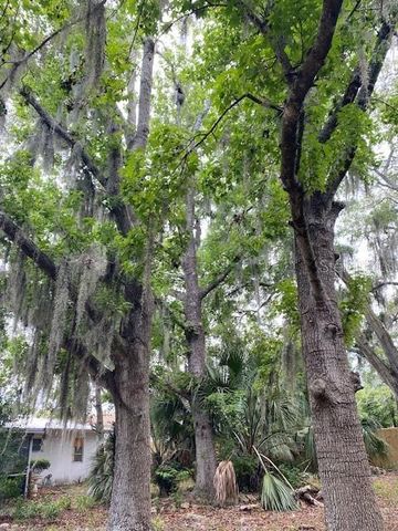 6442 TREEHAVEN DRIVE, Spring Hill, FL 34606