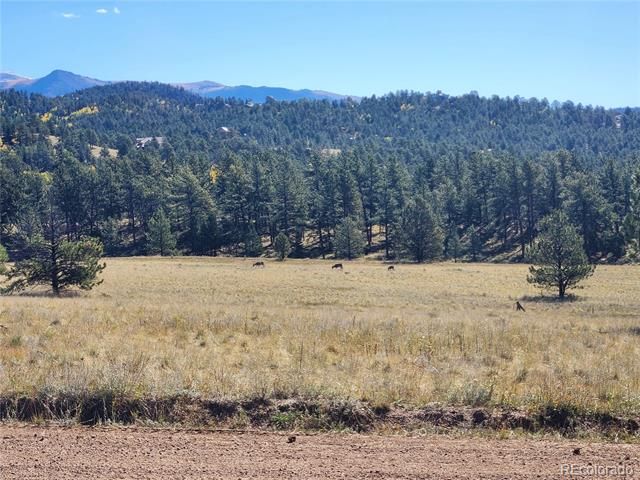 2628 Southpark Road, Florissant, CO 80816