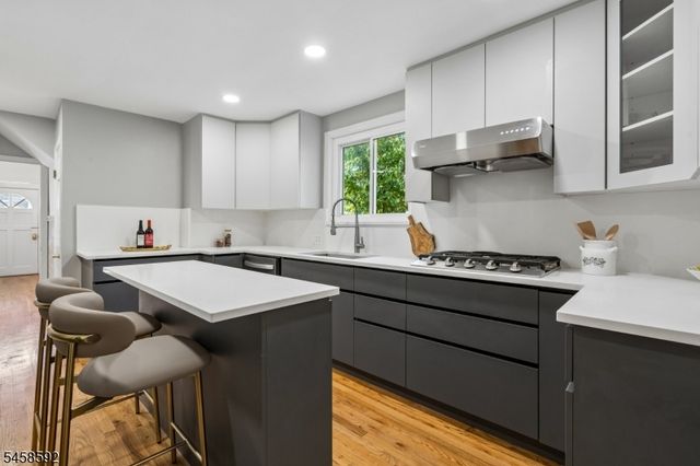 11 Wittkop Pl, Millburn Twp., NJ 07041
