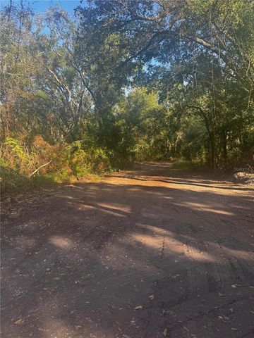 11-20 ANNO, Tampa, FL 33625