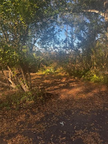 11-20 ANNO, Tampa, FL 33625