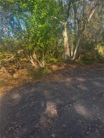 11-20 ANNO, Tampa, FL 33625