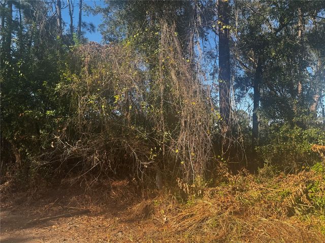 11-20 ANNO, Tampa, FL 33625