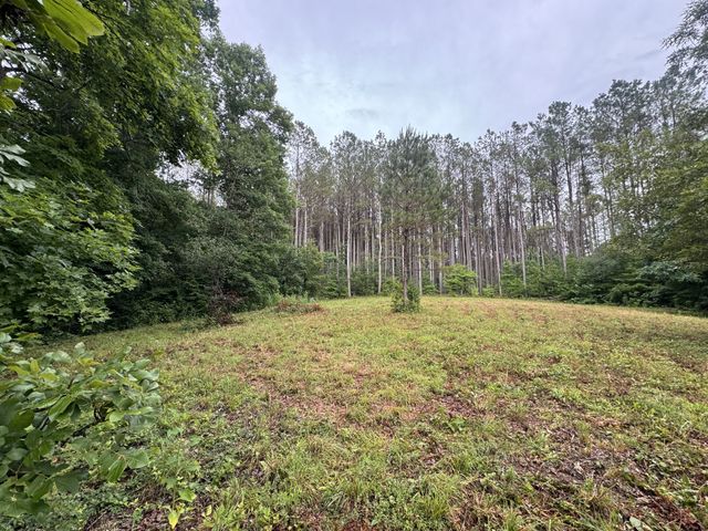 0 Johnson Hollow Rd, Stewart, TN 37175