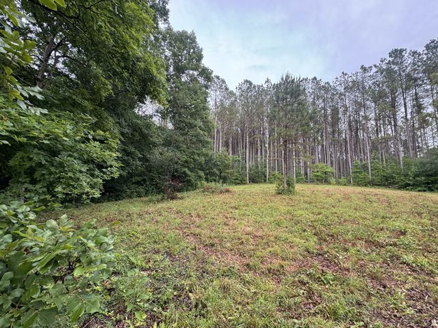 0 Johnson Hollow Rd, Stewart, TN 37175
