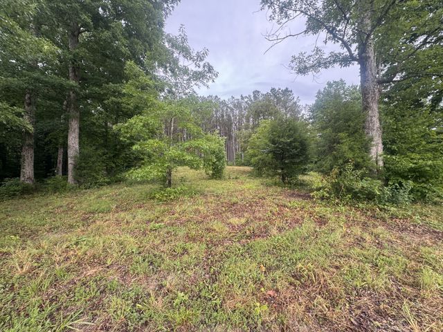 0 Johnson Hollow Rd, Stewart, TN 37175