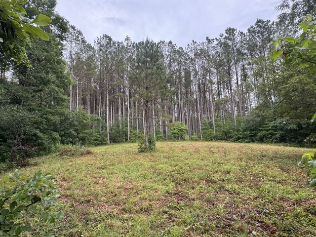 0 Johnson Hollow Rd, Stewart, TN 37175