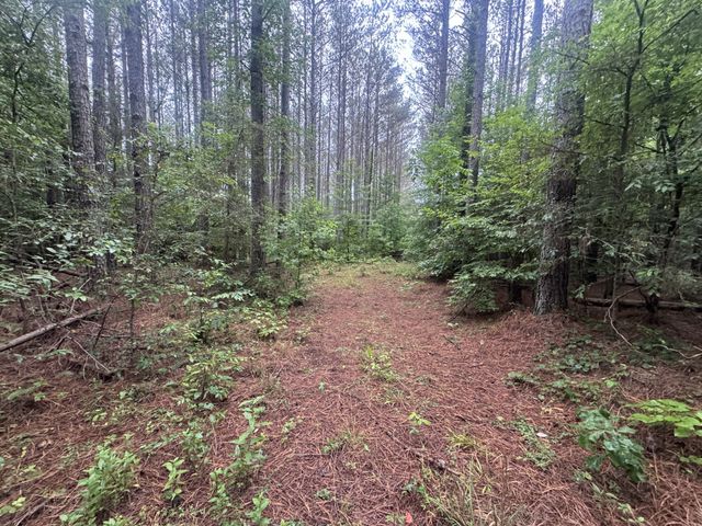 0 Johnson Hollow Rd, Stewart, TN 37175