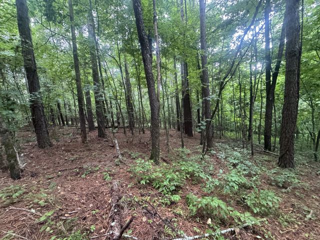 0 Johnson Hollow Rd, Stewart, TN 37175