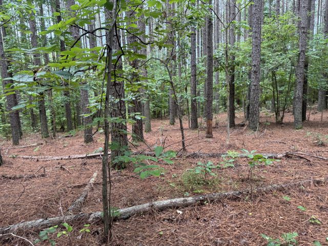 0 Johnson Hollow Rd, Stewart, TN 37175