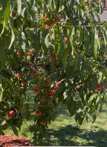 21 Barstow Dr, Braintree, MA 02184