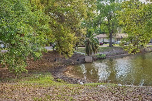 10307 COUNCILS WAY, Tampa, FL 33617