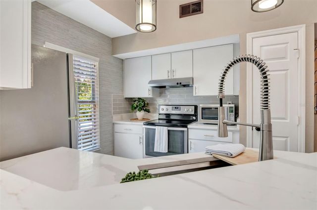 9130 LAKE CHASE ISLAND WAY 9130, Tampa, FL 33626