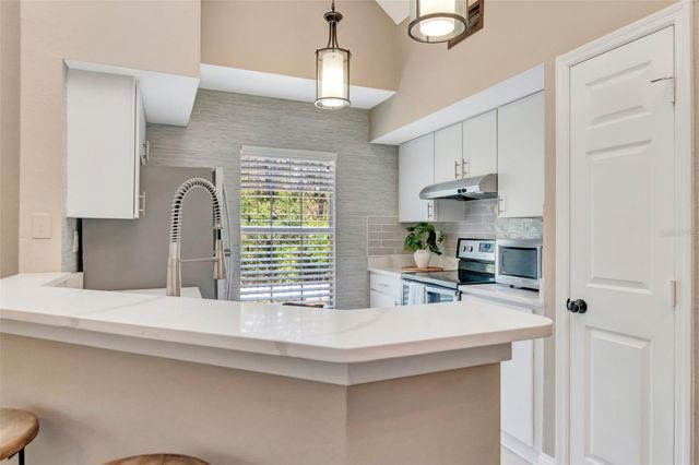 9130 LAKE CHASE ISLAND WAY 9130, Tampa, FL 33626