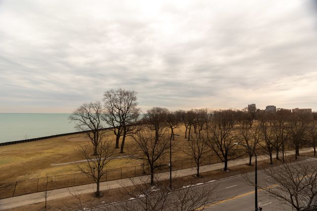 6730 S South Shore Drive 501, Chicago, IL 60649