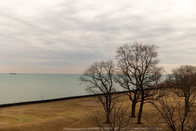 6730 S South Shore Drive 501, Chicago, IL 60649