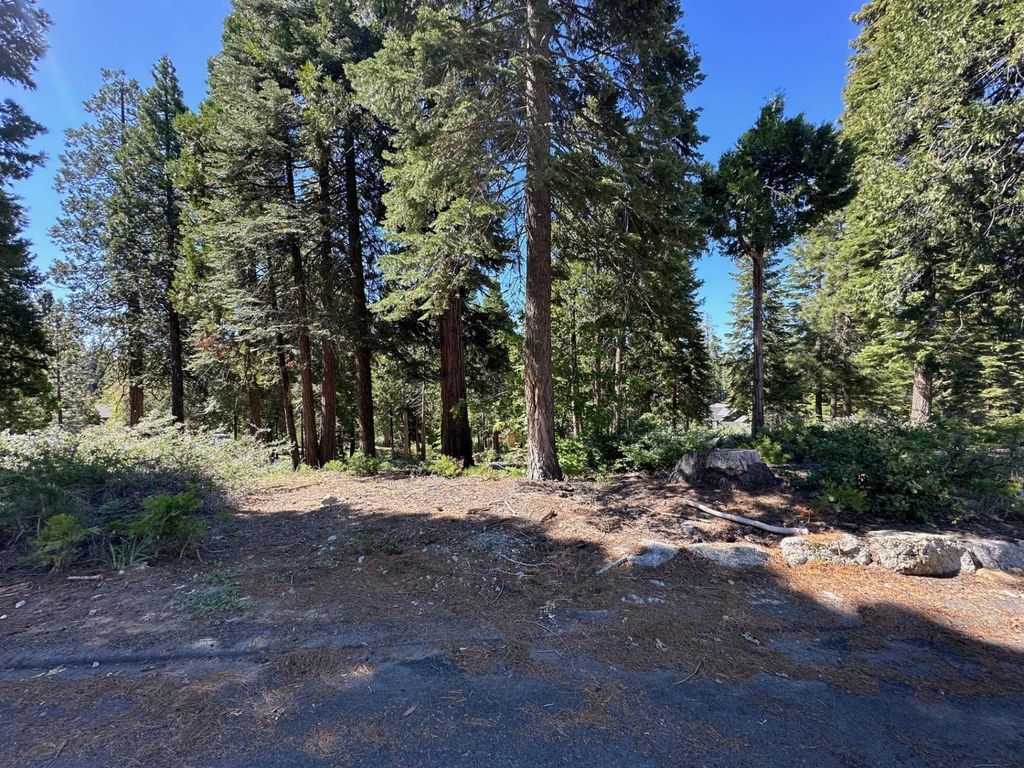 Image 2 of property listing at 42142 Opal Lane, Shaver Lake, CA 93664