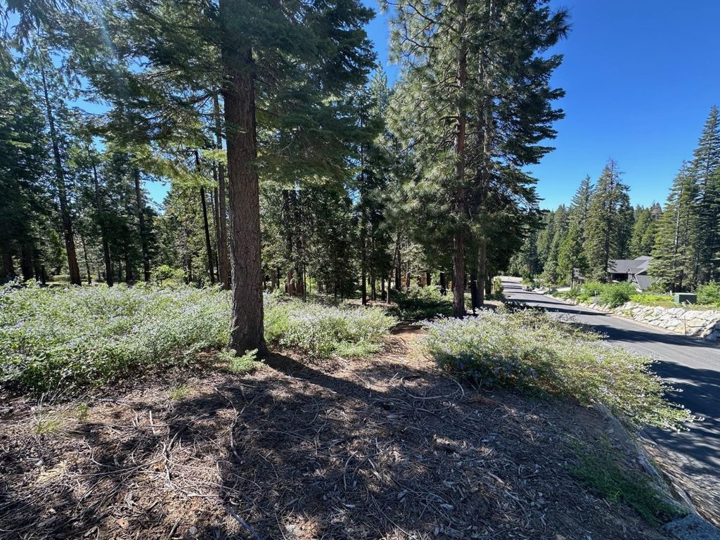 Image 3 of property listing at 42142 Opal Lane, Shaver Lake, CA 93664