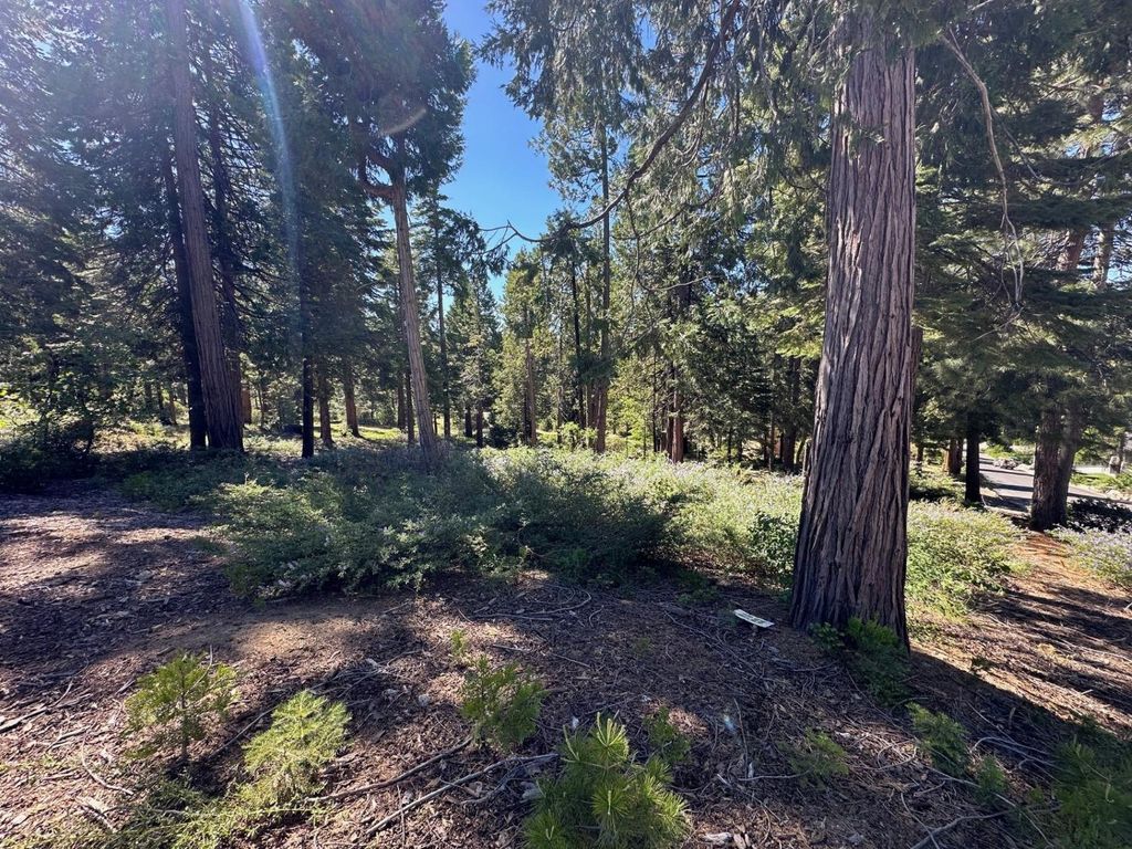 Image 5 of property listing at 42142 Opal Lane, Shaver Lake, CA 93664