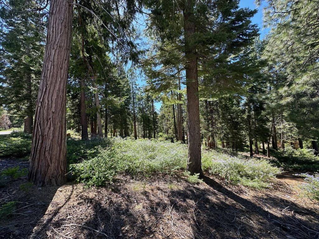 Image 6 of property listing at 42142 Opal Lane, Shaver Lake, CA 93664