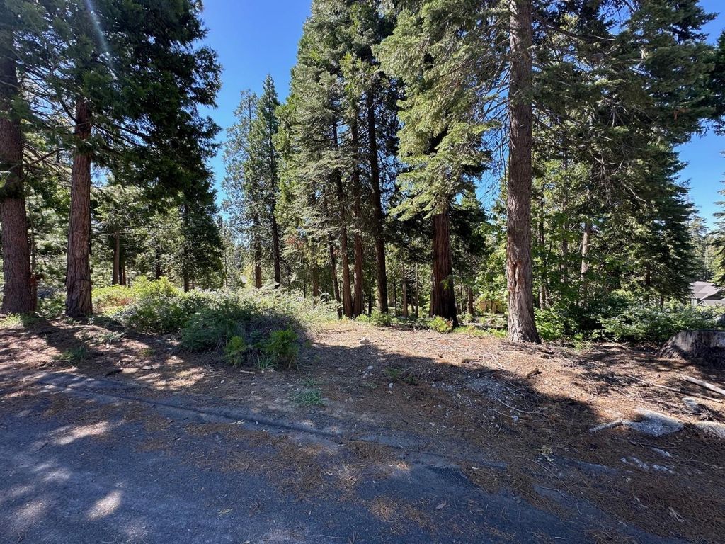 Image 7 of property listing at 42142 Opal Lane, Shaver Lake, CA 93664