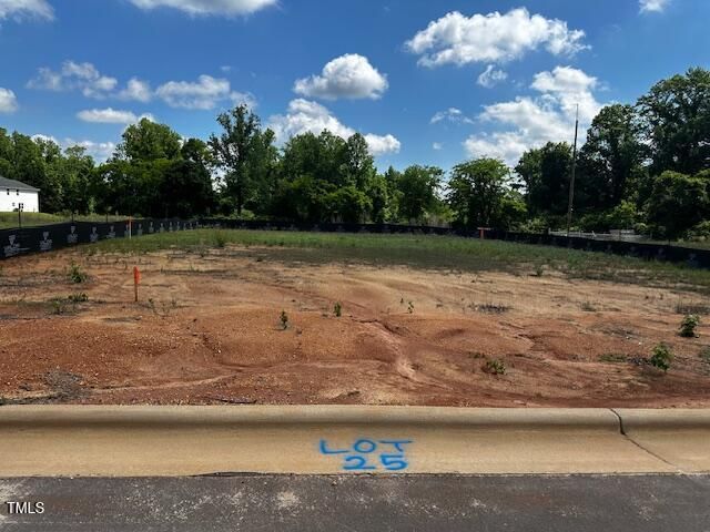 301 New Twin Br Court, Smithfield, NC 27577