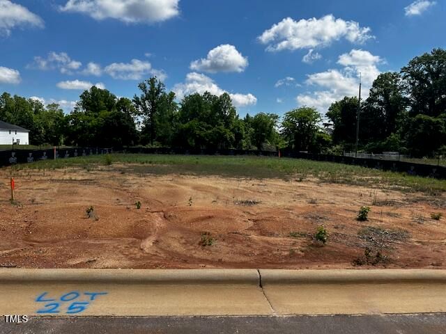 301 New Twin Br Court, Smithfield, NC 27577