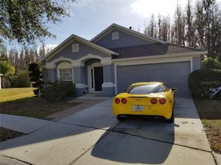 1424 WYLIE COURT, Wesley Chapel, FL 33543