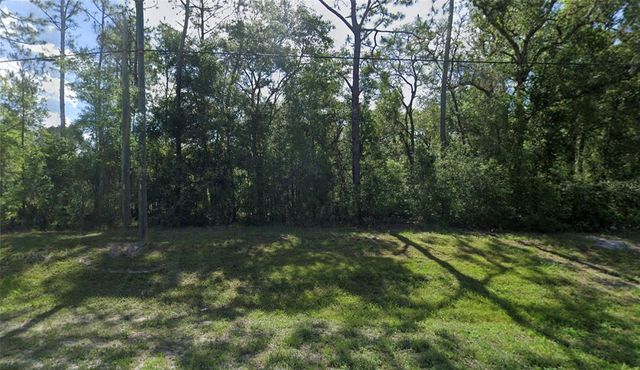 7302 TREIMAN BOULEVARD, Webster, FL 33597