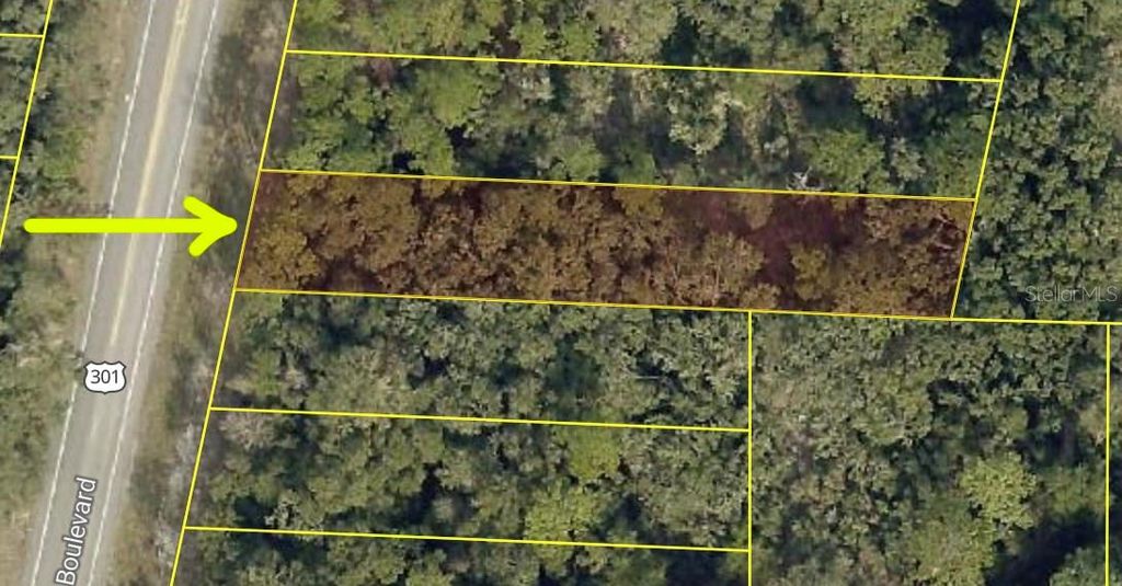 7302 TREIMAN BOULEVARD, Webster, FL 33597