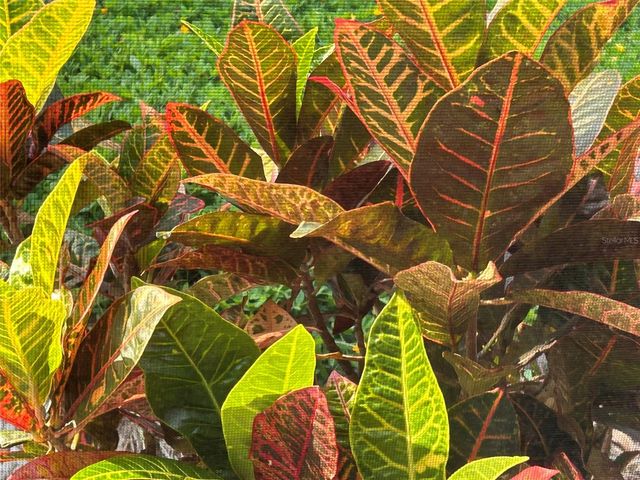 810 E 9TH AVENUE, New Smyrna Beach, FL 32169