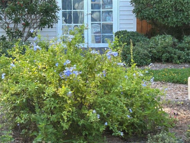 810 E 9TH AVENUE, New Smyrna Beach, FL 32169