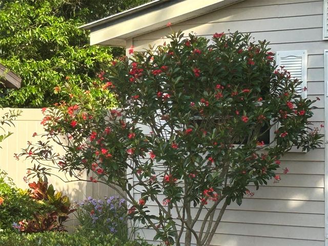 810 E 9TH AVENUE, New Smyrna Beach, FL 32169