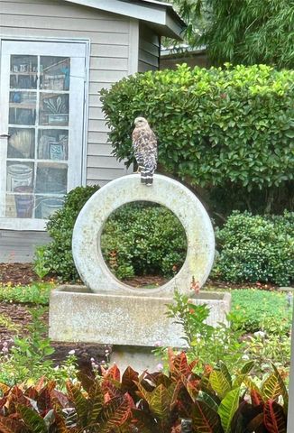 810 E 9TH AVENUE, New Smyrna Beach, FL 32169