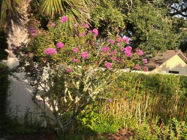 810 E 9TH AVENUE, New Smyrna Beach, FL 32169