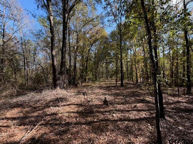 23791 Hwy 64E, Arp, TX 75750