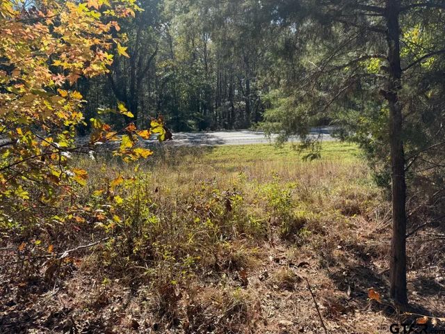 23791 Hwy 64E, Arp, TX 75750