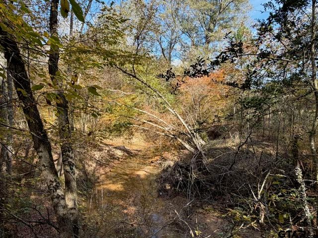 23791 Hwy 64E, Arp, TX 75750