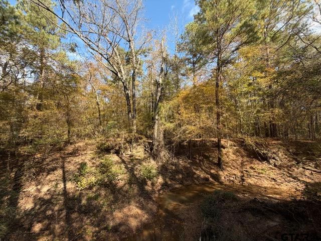 23791 Hwy 64E, Arp, TX 75750