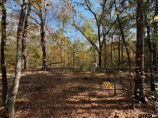 23791 Hwy 64E, Arp, TX 75750