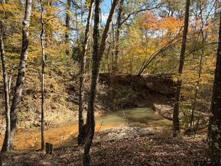 23791 Hwy 64E, Arp, TX 75750