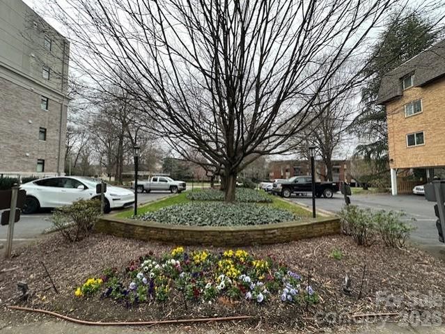 1323 Queens Road 313, Charlotte, NC 28207