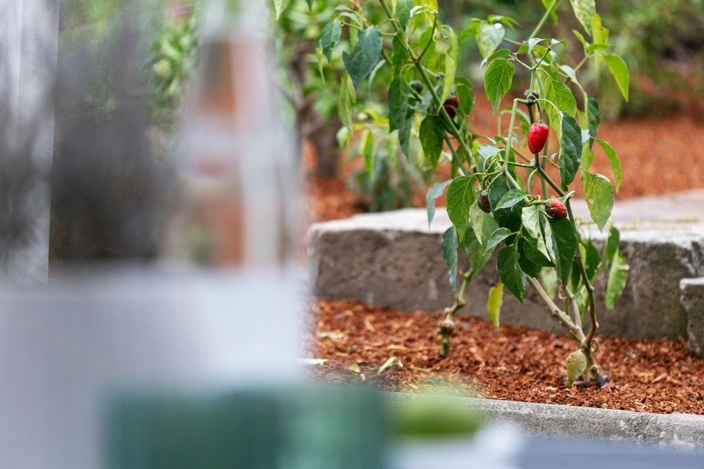 Image 39 of property listing at 3006 3006 14Th Ave, Oakland, CA 94602